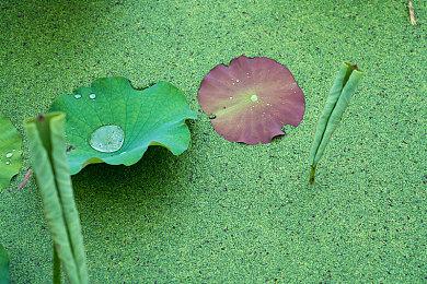第一人称射击类魂游戏《圣约》细节 灵感来自多款游戏